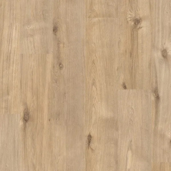 Parquet  XPro 8mm - Sol stratifié Chêne Cabine-Pack 2.17 m2