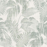 Papier peint Jungle by LW -Réf: 373964-